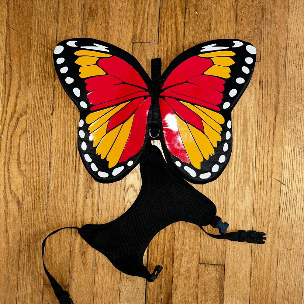 Dog Butterfly Harness Costume